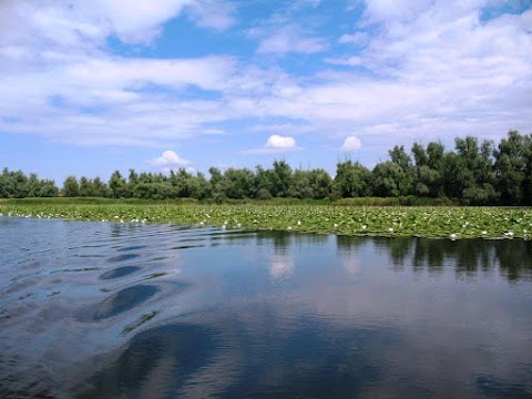 Туристичний Інформаційний Центр міста Олешки