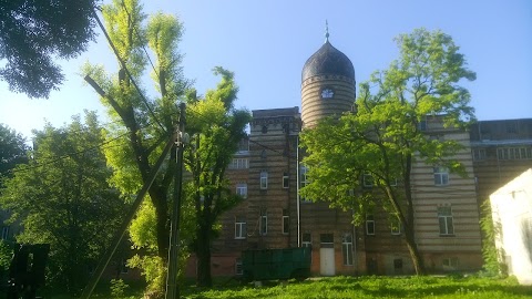 Місце Єврейського Цвинтару За Роддомом На Раппапорта