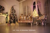 Polishchuk Olga/Go You Djenima