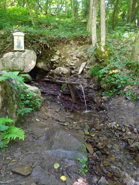 Зелена Садиба Жива Вода