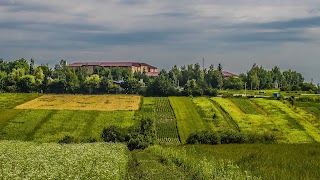 Копичинецька районна комунальна лікарня