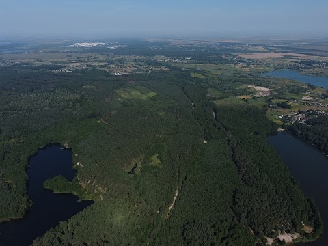 Фестиваль Тверезі люди