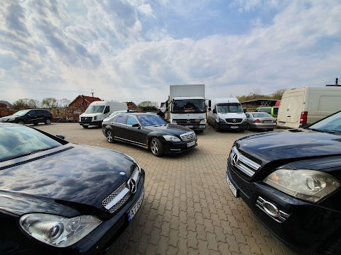 Service Mercedes Підлісся