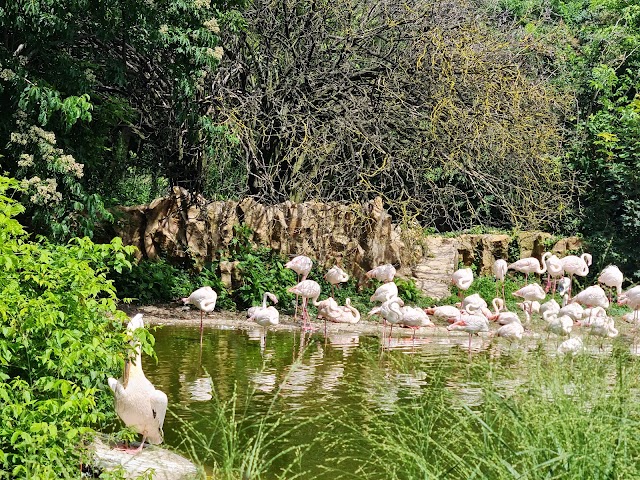 Parc de la Tête d'Or