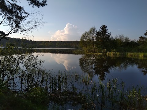 Літня Церква Різдва