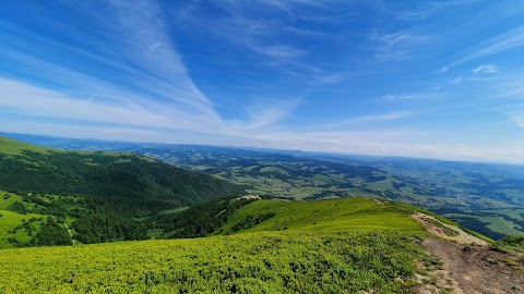 Чайовня Сурія