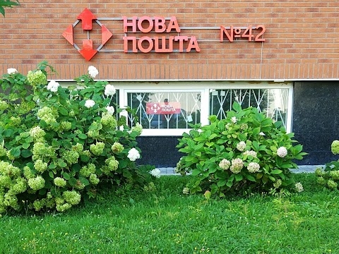 Нова пошта №42