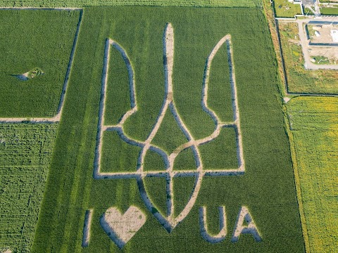 Герб України на кукурудзяному полі