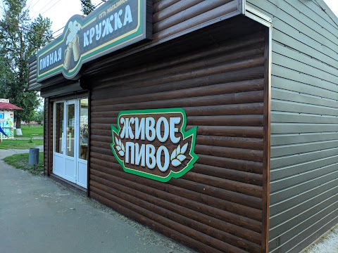 пивная кружка