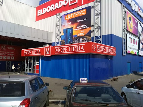 Море пива