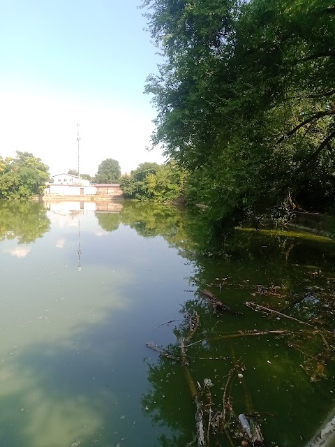 Бассейка Петровская