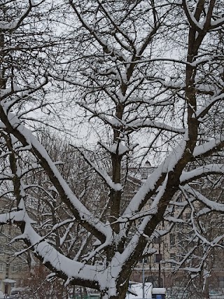 Доставка квітів Львів