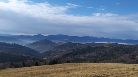 Полонина Стеришора