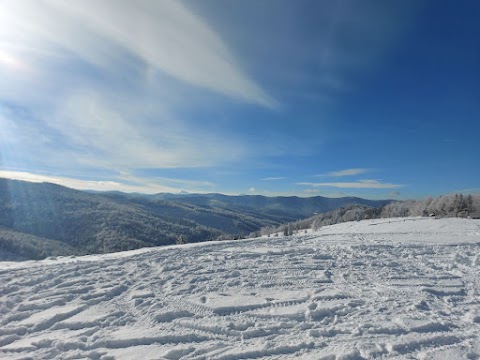 Квадроцикли qadroGUK Джипи