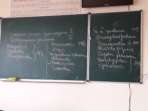 ПРИВАТНА ЗАГАЛЬНООСВІТНЯ ШКОЛА І-ІІ СТУПЕНІВ НАДІЯ, ЩО ЗНАХОДИТЬСЯ У ПРИВАТНІЙ ВЛАСНОСТІ МАНЧУЛА ВАСИЛЯ ІВАНОВИЧА