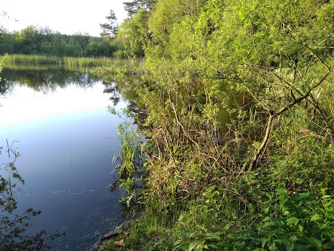 Літня Церква Різдва