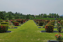 UN Memorial Cemetery, Busan, South Korea