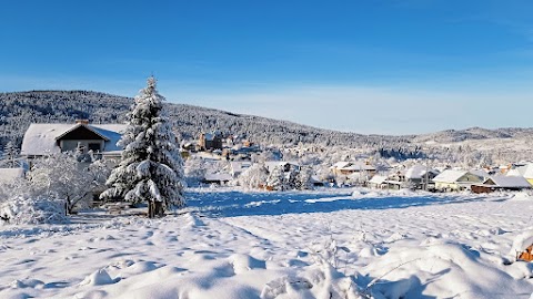 Villa SKHIDNYTSYA