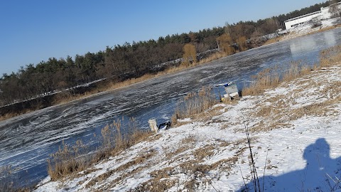 Кулиничі