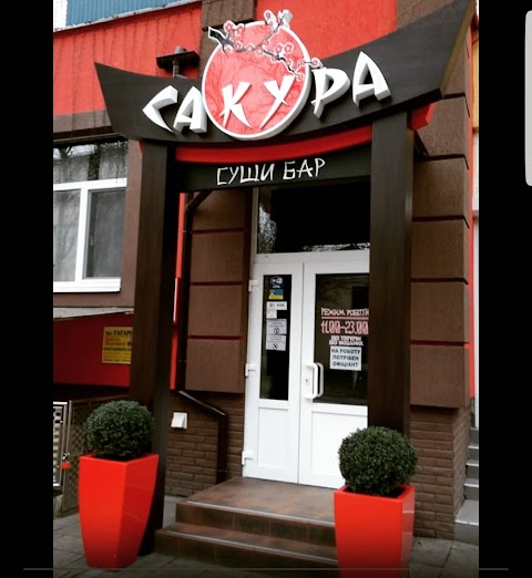 Сакура