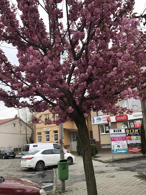 Гарячі Тури Мукачево вул. Мира 30