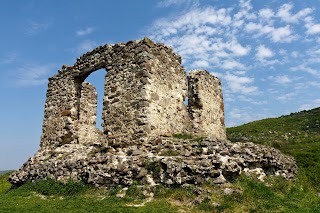 Виноградівський замок (Замок Канків)