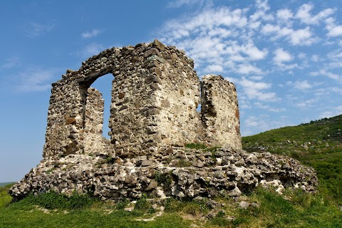 Виноградівський замок (Замок Канків)