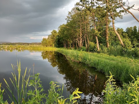 Вірля