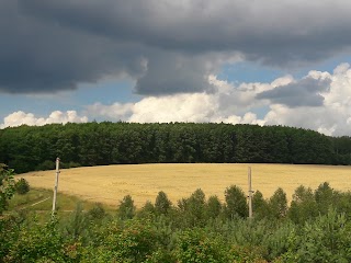 Паркувальний маданчик