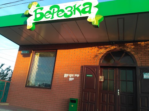 Берізка