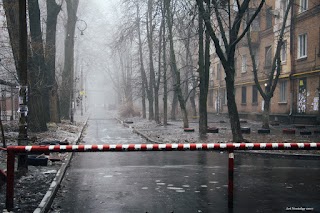 ДЖЕЙ ЕЛЬ МАГАЗИН ПП АЛЕКСЄЄВА Ю.В.