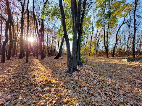 Парк Супутник