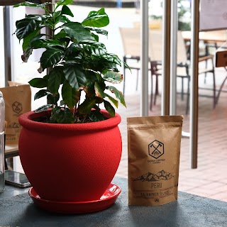 Gora Coffee® roasters