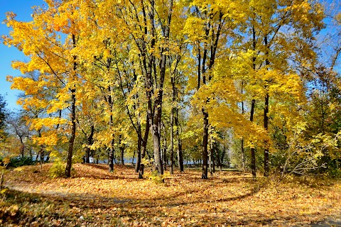 Венеціанський острів (Гідропарк)