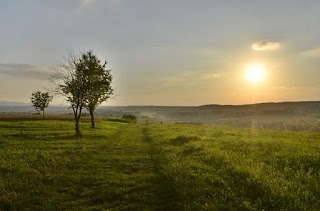 Раківська ЗОШ