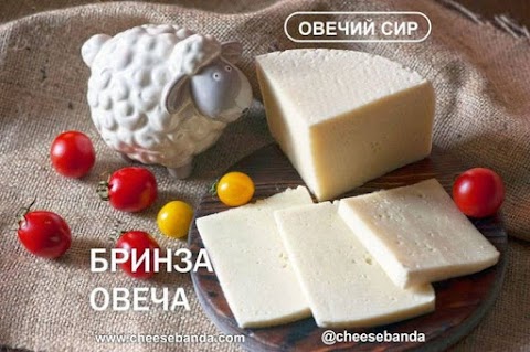 Cheesebanda