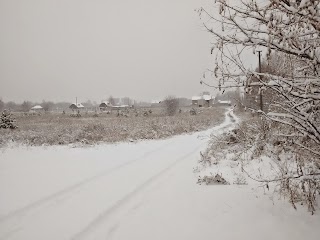 Медова Садиба