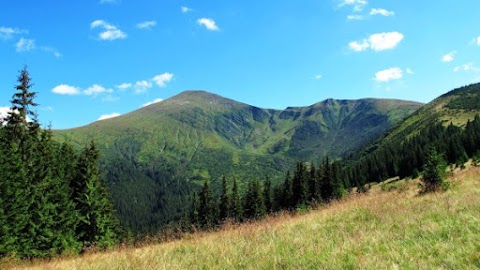 Мандрівник