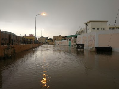 عريش مركز الشمالي ابو معرفة نتيجة