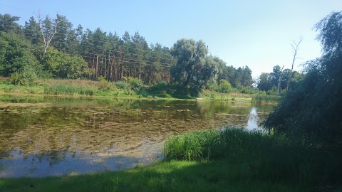 Ірпінський військовий шпиталь