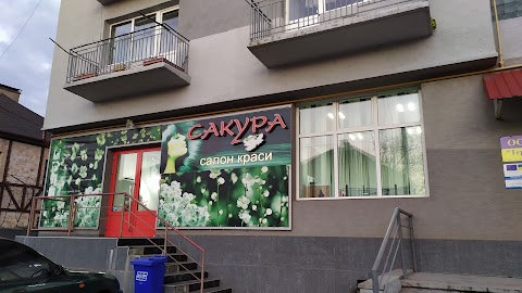 Сакура