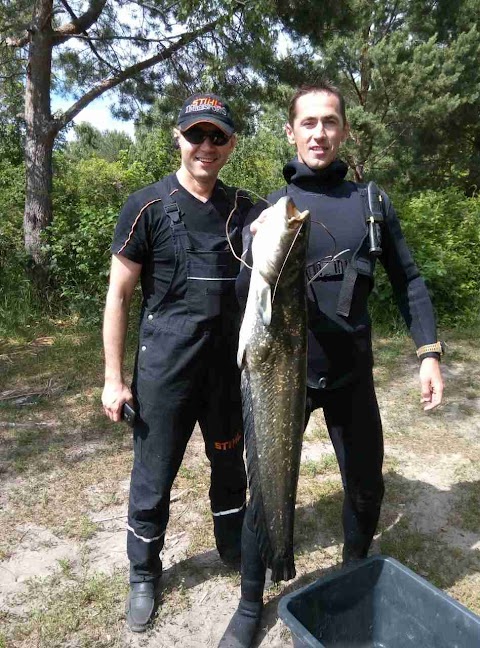 Федерація підводного спорту та підводної діяльності України