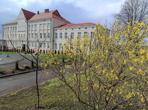 Рогатинський державний аграрний коледж