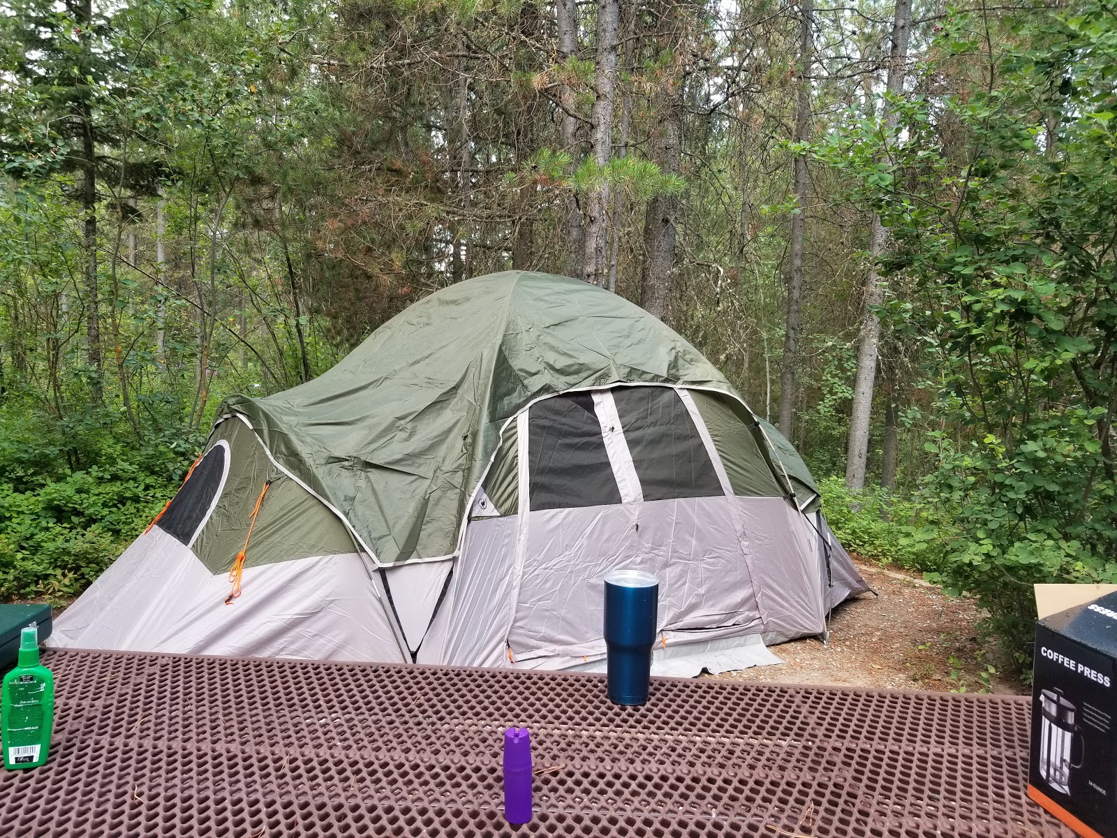 Caribou-Targhee / Alpine North Loop Campground