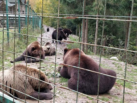 Національний природний парк "Синевир"