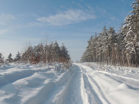 Альпійська долина