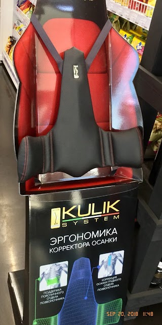 KULIK SYSTEM