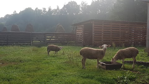 Приватна садиба "Дарваїв Кут"