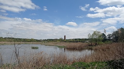 Державний ботанічний заказник "Рибне"