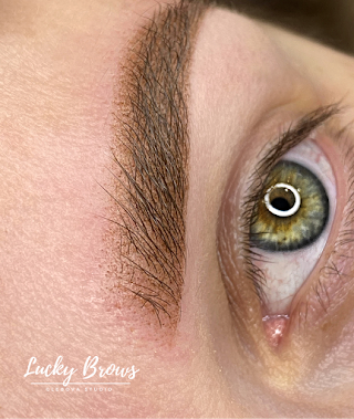 LUCKY BROWS Glebova studio